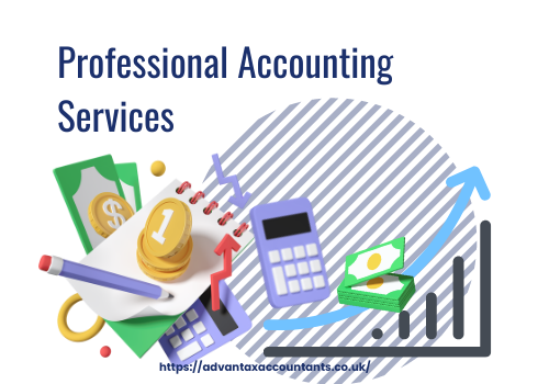 Professional Accountant in London 